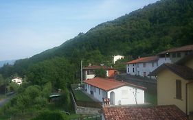 Hermitage Holidays